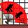 定制新版AIB商学院学位证【degxx.com】